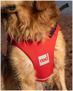 Red Paddle Co. Red Paddle Co Dog Buoyancy Aid -Aztron Boutique red paddle co dog buoyancy aid red 5 1