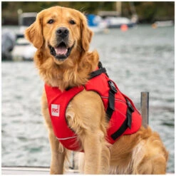 Red Paddle Co. Red Paddle Co Dog Buoyancy Aid -Aztron Boutique red paddle co dog buoyancy aid xs 330 480 mm red 2