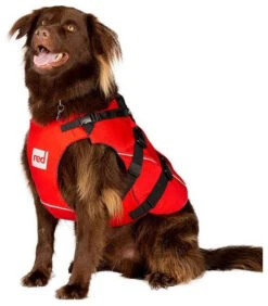 Red Paddle Co. Red Paddle Co Dog Buoyancy Aid -Aztron Boutique red paddle co dog buoyancy aid xs 330 480 mm red 4